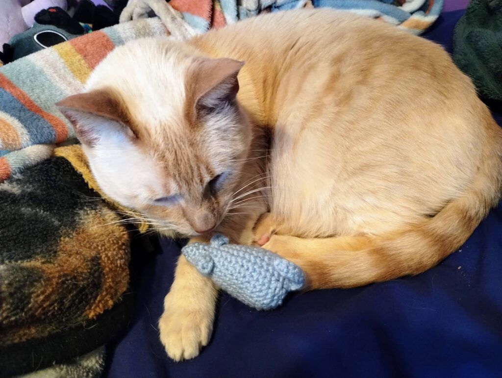 cat with crochet mouse cat toy